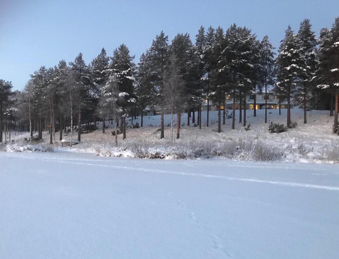 Arctic Sofia Riverstudio 罗瓦涅米 外观 照片